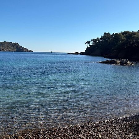 Lavande Centre Ancien Port Plages By Laconciergerie13 ลาซิโอตาต์ ภายนอก รูปภาพ