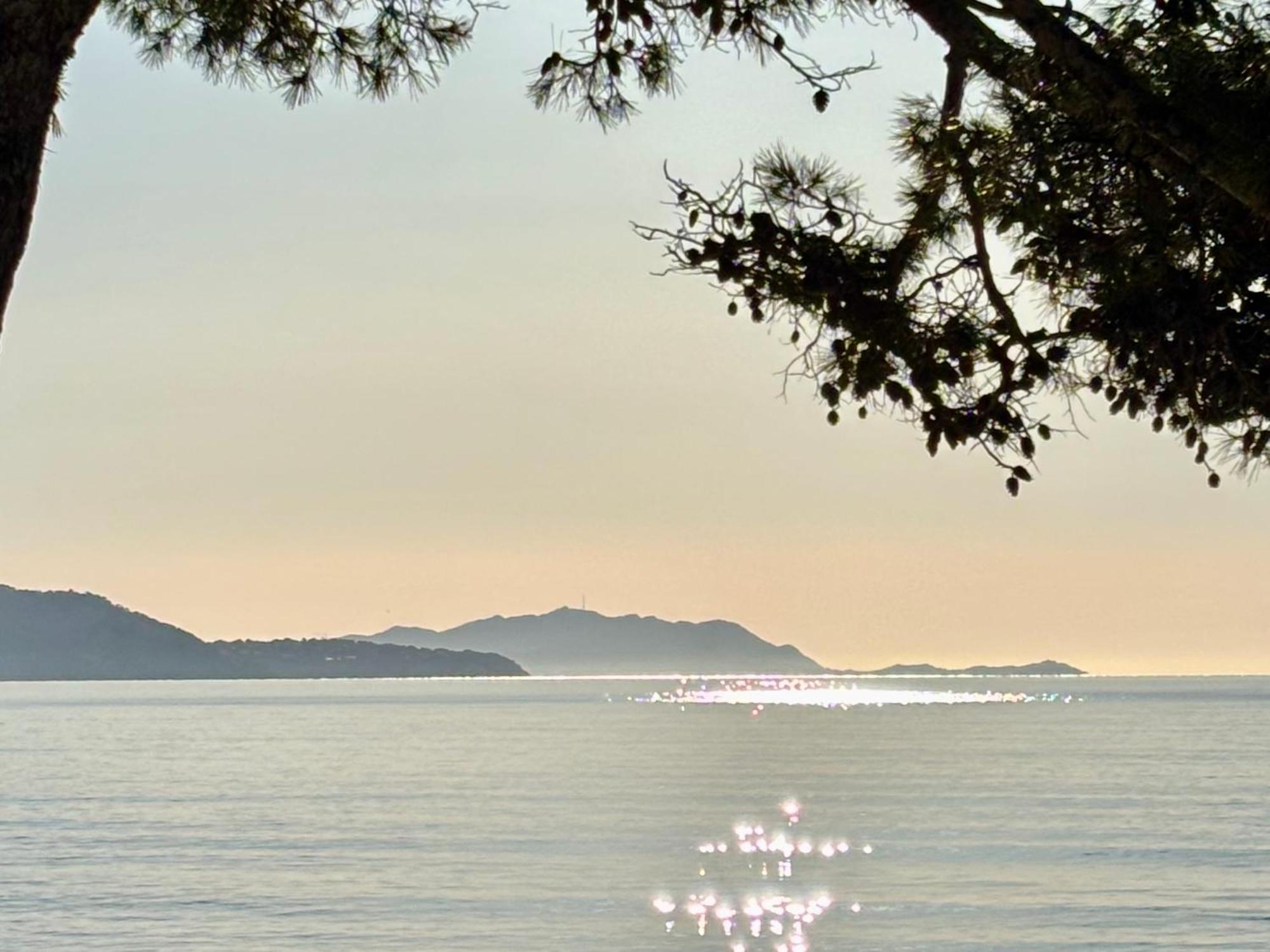 Lavande Centre Ancien Port Plages By Laconciergerie13 ลาซิโอตาต์ ภายนอก รูปภาพ